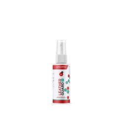 Protectie Piele Auto si Vinil Antibacteriana Gtechniq L1 Leather Guard, 100ml